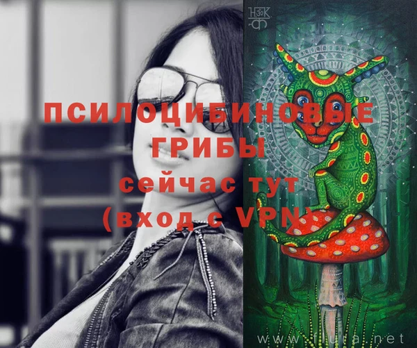 ПСИЛОЦИБИНОВЫЕ ГРИБЫ Козельск