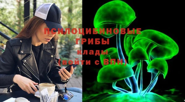 прущая мука Кинешма